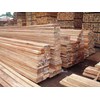 kayu sawn timber jenis punak, kempas, kruing, rengas, meranti