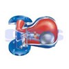ari cona s td m b steam traps