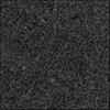 batu granit impala black ii untuk lantai