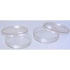 bacterial petri dish