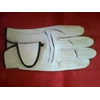 saarung tangan golf / golf gloves