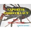 pembeli jual beli harga budidaya lobster air laut kalimantan utara bulungan tarakan malinau nunukan tana tidung hub 085227902020