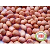 kacang tanah - ground nut