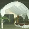 tenda canopy