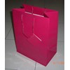 paper bag souvenir-3