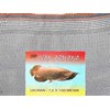 waring ikan termurah
