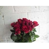 roos van de boei - mawar sexy red
