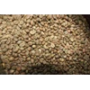 robusta-biji bersih kopi luwak ( luwak coffee green beans)