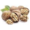 walnut / rp.245.000.- / kg-4
