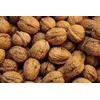walnut / rp.245.000.- / kg-5