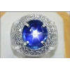 elegant royal blue sapphire star nh sri lanka - sps 221-1