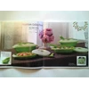 tupperware blossom colection