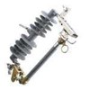 cut-out & arrester
