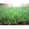 synthetic grass