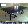 meja ping pong dengan merk donic