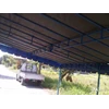 terop terpal 6 x 6 m