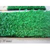 karpet olahraga dari rumput