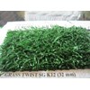 rumput untuk lapangan olahrga