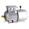 brake motor