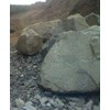 batu boulder/ batu gajah-2