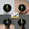 kc7984 - cat eye