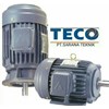 teco induction motor ex. taiwan-3