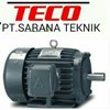 teco induction motor ex. taiwan-1