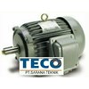 teco induction motor ex. taiwan-5