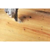 bravo fill – wood putty - dempul kayu-1