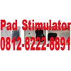 0812-8222-8891 pad stimulator murah, pad kwd greatwall, pad kwd yingdi, pad sdz hwato murah.