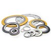 spiral wound gasket ( swg)