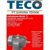 teco gear motor, teco inverter, & teco induction motor-2