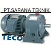teco gear motor, teco inverter, & teco induction motor-4