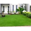rumput swiss | tukang taman indo-landscape-3