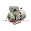 brake motor transmax