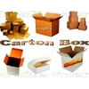 karton box-1