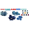 gear motor pompa electric motor-4