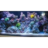 dekorasi aquarium 1.5 meter