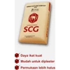 semen scg ( distributor & agent semen scg)-1
