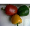 paprika merah kuning dan hijau segar-4