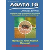 larvasida jentik nyamuk agata 1 gr-1