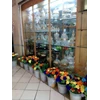 flower glass