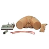 electronic urethral catheterization and enema training simulator - gd/ h27