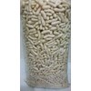 pilus-1