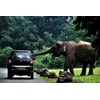 travel sukabumi taman safari | tlp: 085659226223 | tour taman safari dari sukabumi | paket wisata sukabumi taman safari | agen tiket murah taman safari | harga tour sukabumi taman safari | tour dari sukabumi ke taman safari | paket dari sukabumi ke taman