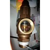 safety valve-1