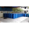 minyak kayu putih