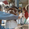 perbaikan kebocoran pipa steam pada flange joint