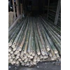 bambu proyek, medan-1