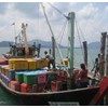 cooler box dengan slot untuk forklift-2